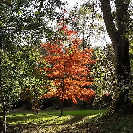 度假居 Moulin De Rimer *