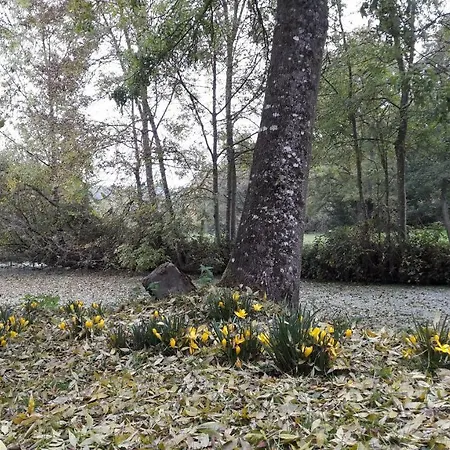 度假居 Moulin De Rimer Auvers-le-Hamon