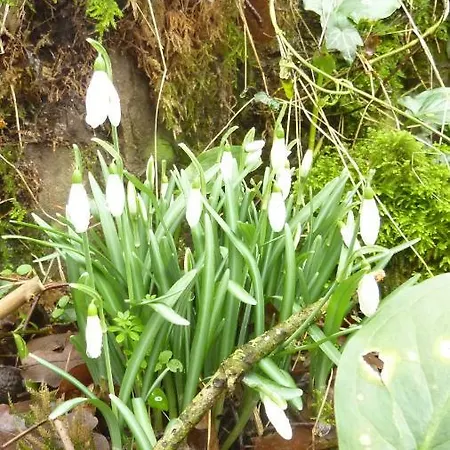 Moulin De Rimer 別荘 Auvers-le-Hamon