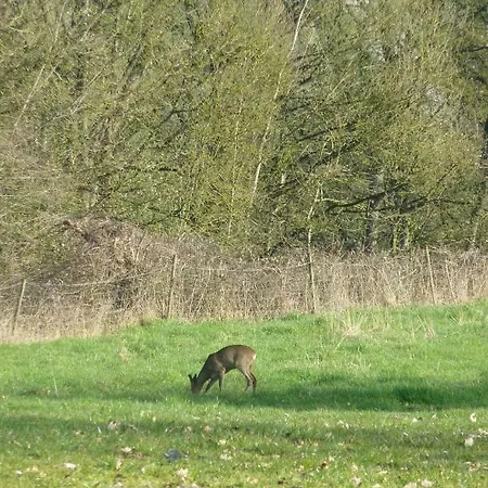 度假居 Moulin De Rimer