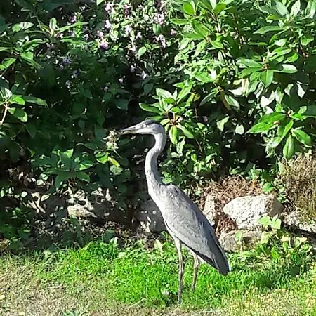 Moulin De Rimer * Auvers-le-Hamon
