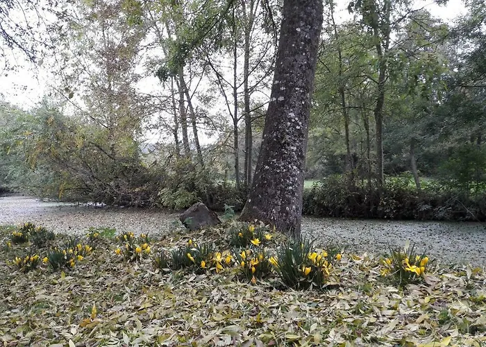 Дом отдыха Moulin De Rimer Auvers-le-Hamon