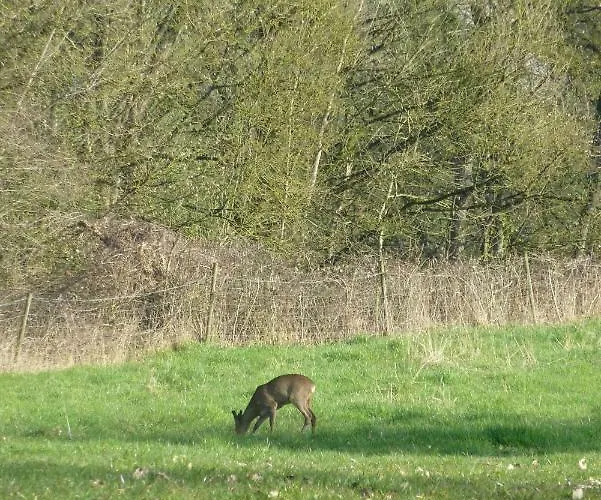 Дом отдыха Moulin De Rimer